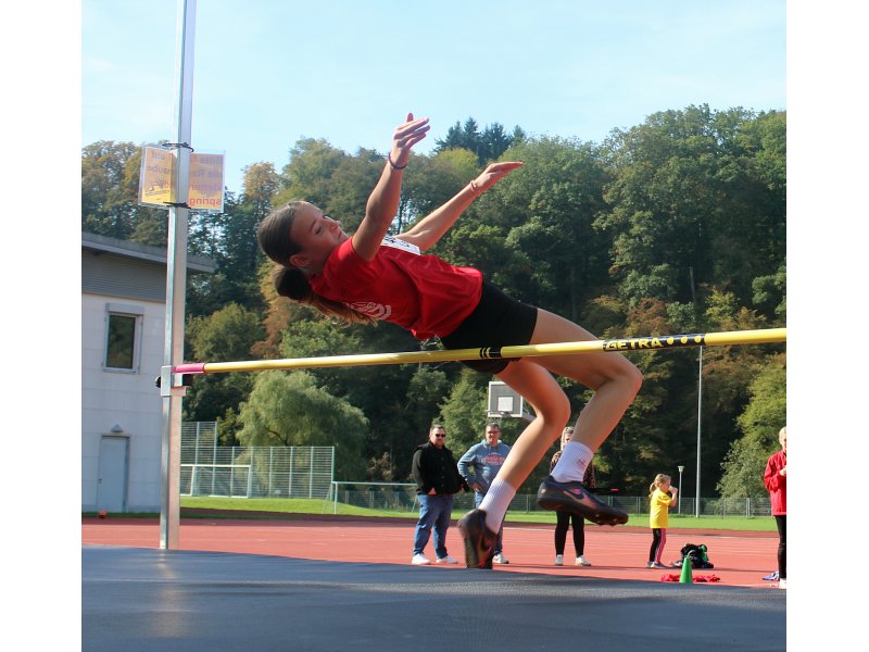 hochsprung_c.jpg hochsprung_c.jpg